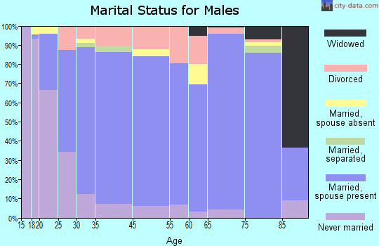 Drew County marital status for males