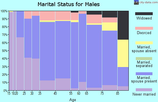 Washington County marital status for males
