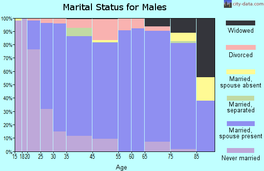 Faribault County marital status for males