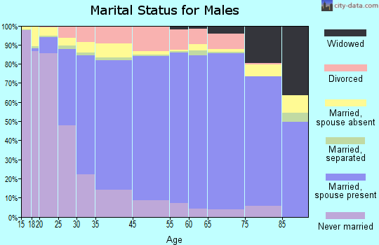 Christian County marital status for males