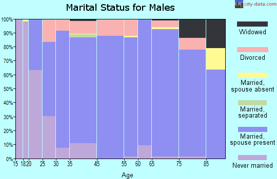 Brewster County marital status for males