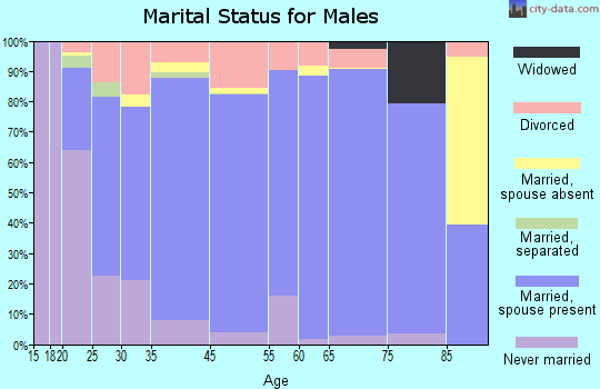 Clarke County marital status for males