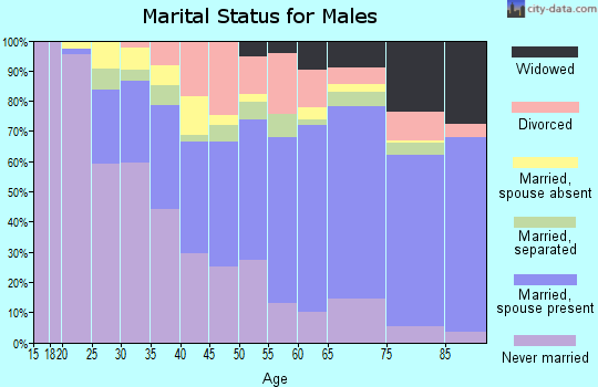 Bibb County marital status for males
