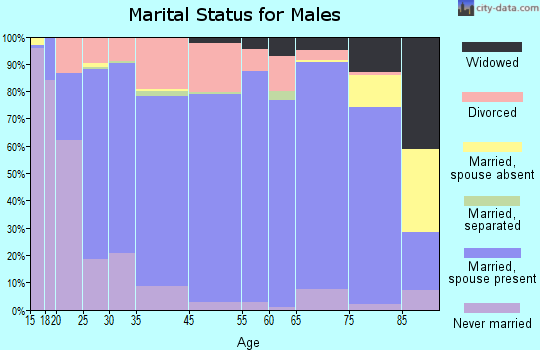 Gem County marital status for males