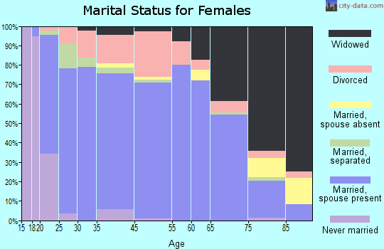 Dyer County marital status for females
