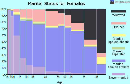 Bay County marital status for females