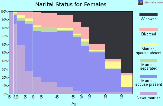 Burnet County marital status for females