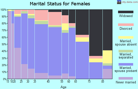 Dinwiddie County marital status for females