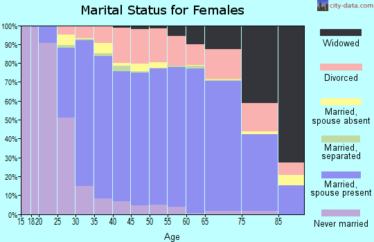Chisago County marital status for females