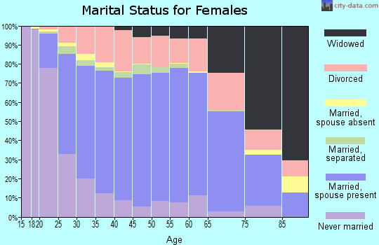 Clinton County marital status for females