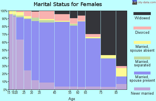 Clinch County marital status for females