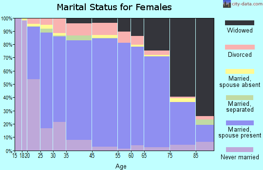 Henry County marital status for females