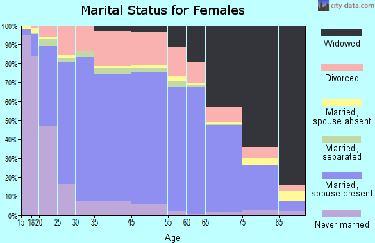 Minidoka County marital status for females