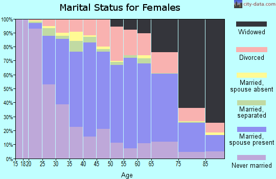 Salem County marital status for females