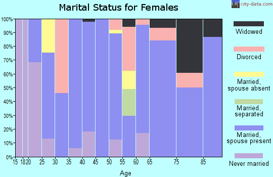 Rich County marital status for females
