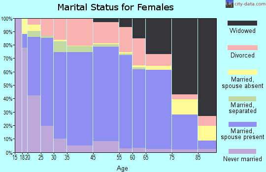 Otsego County marital status for females