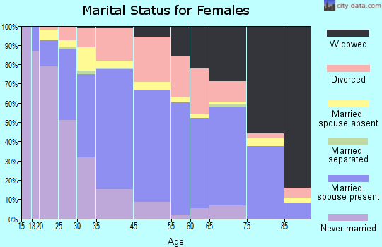 Little River County marital status for females