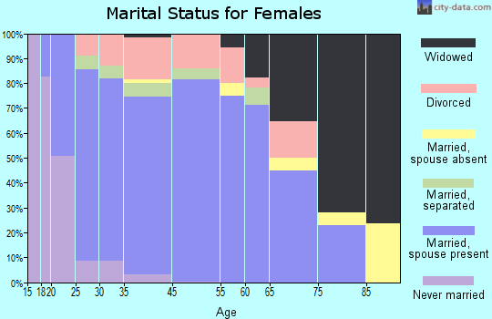 Lowndes County marital status for females