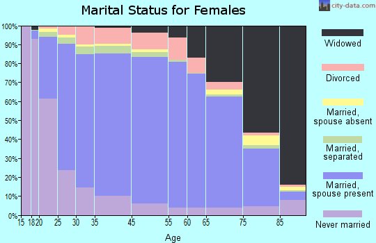 Iron County marital status for females