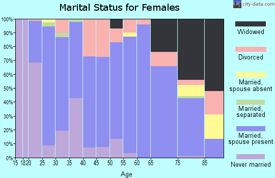 Hettinger County marital status for females