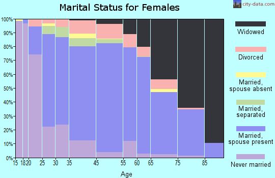 King and Queen County marital status for females
