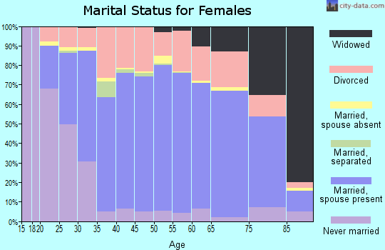Emmet County marital status for females