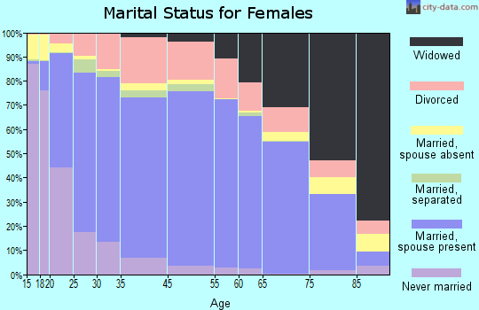 Somerset County marital status for females