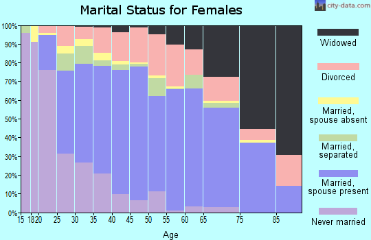 Elmore County marital status for females