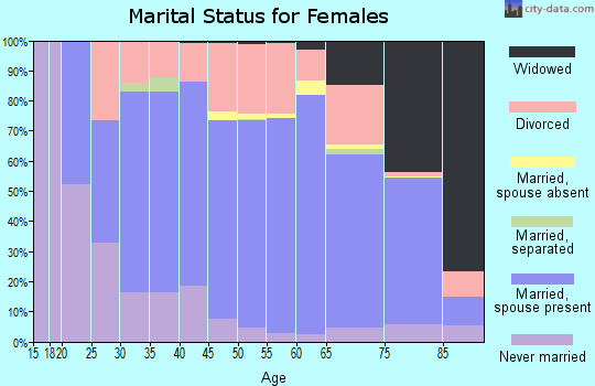 Iron County marital status for females
