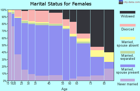 Otsego County marital status for females