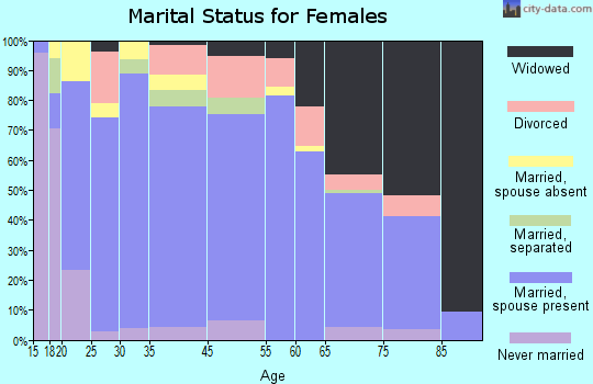 Summit County marital status for females