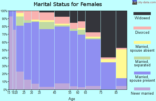 Rice County marital status for females