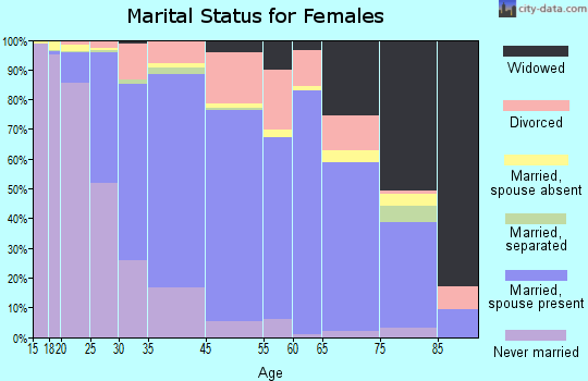Big Stone County marital status for females