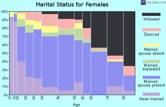 Smyth County marital status for females