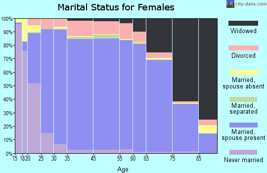 Ray County marital status for females