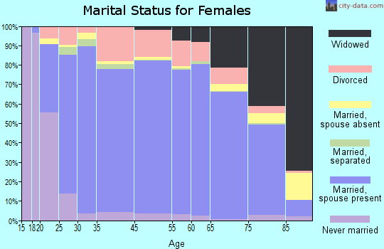 Worth County marital status for females