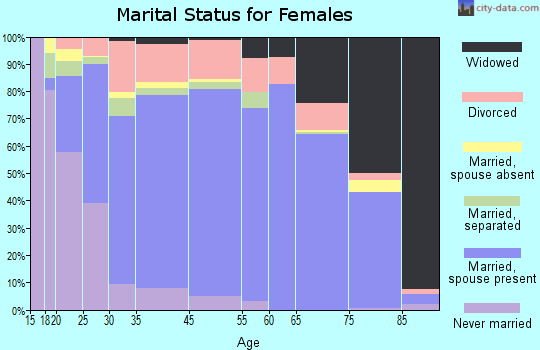 Wright County marital status for females