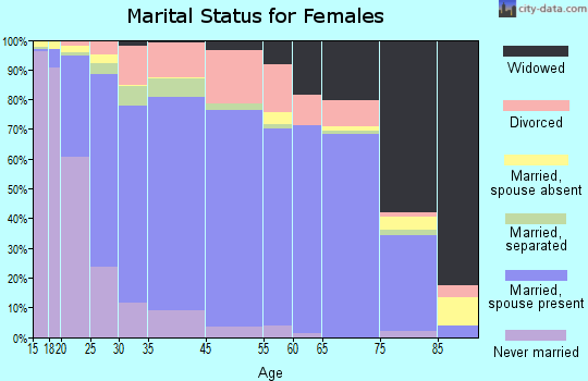 Hunt County marital status for females