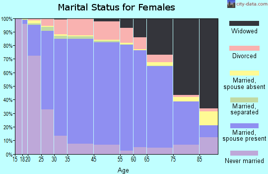 Worth County marital status for females