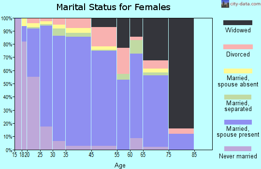 Bay County marital status for females