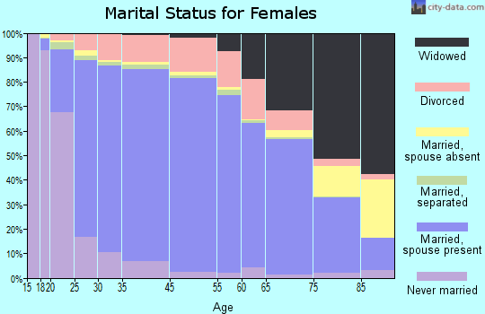 Chenango County marital status for females