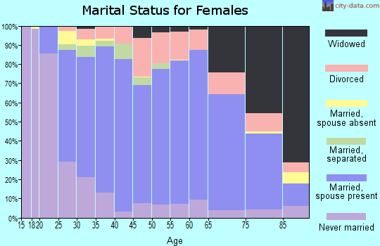 Somerset County marital status for females