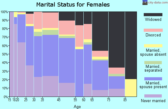 Clinton County marital status for females