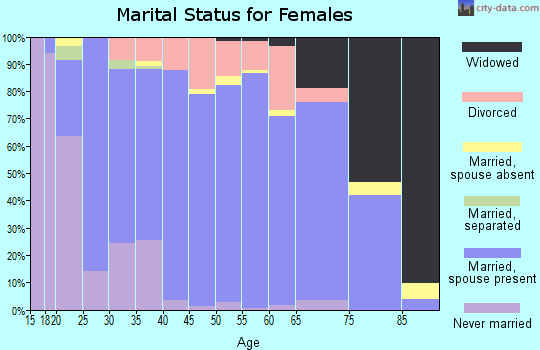 Archer County marital status for females