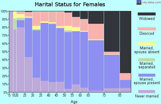 Otsego County marital status for females