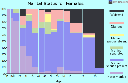 Patrick County marital status for females