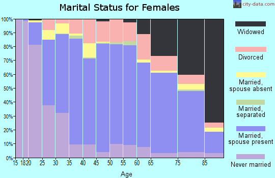Steele County marital status for females
