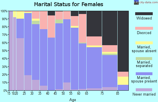 Rice County marital status for females