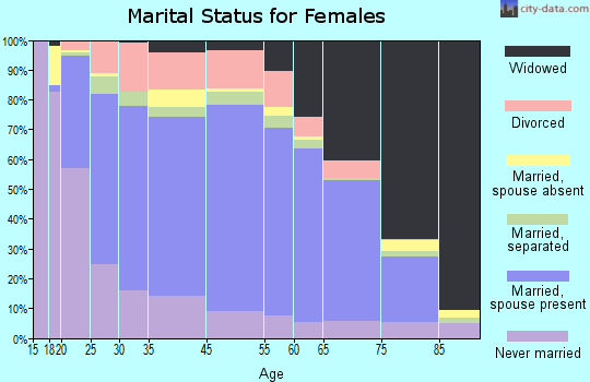 Clinton County marital status for females