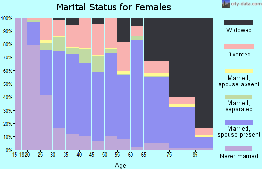 Smyth County marital status for females